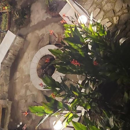 Kasauli Cascade A Cheerfull 4 Bedroom Challet 외부 사진