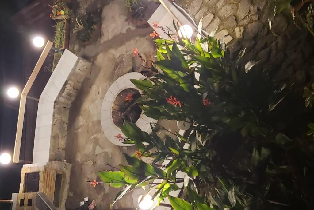 Kasauli Cascade A Cheerfull 4 Bedroom Challet 외부 사진