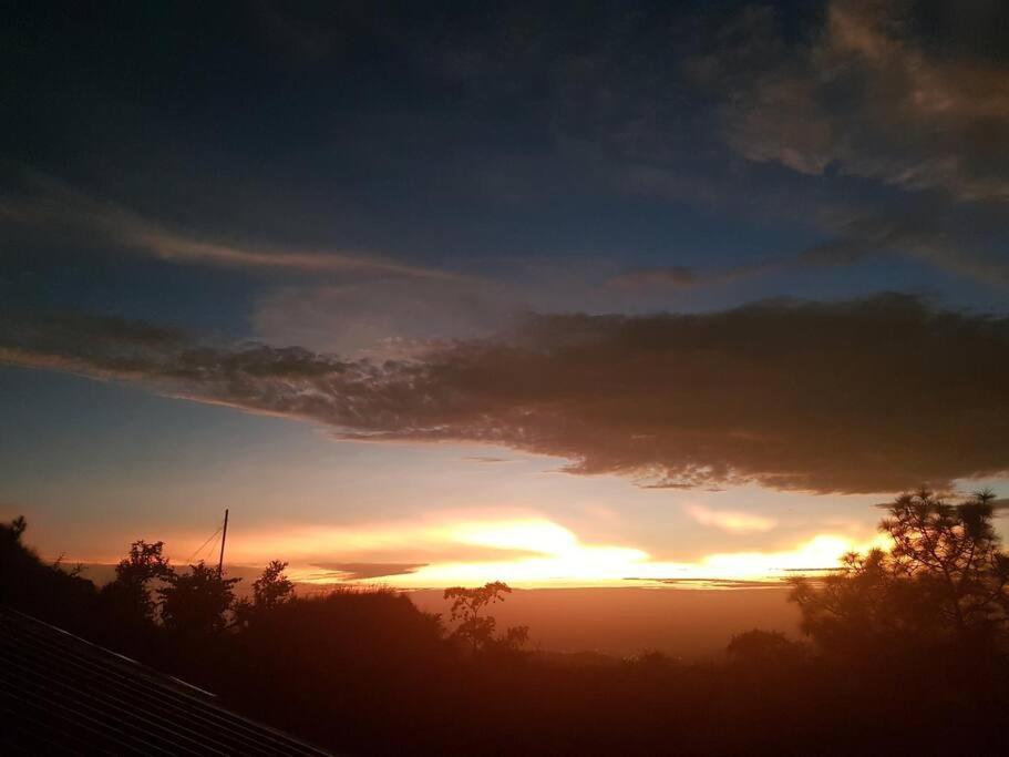 Kasauli Cascade A Cheerfull 4 Bedroom Challet 외부 사진