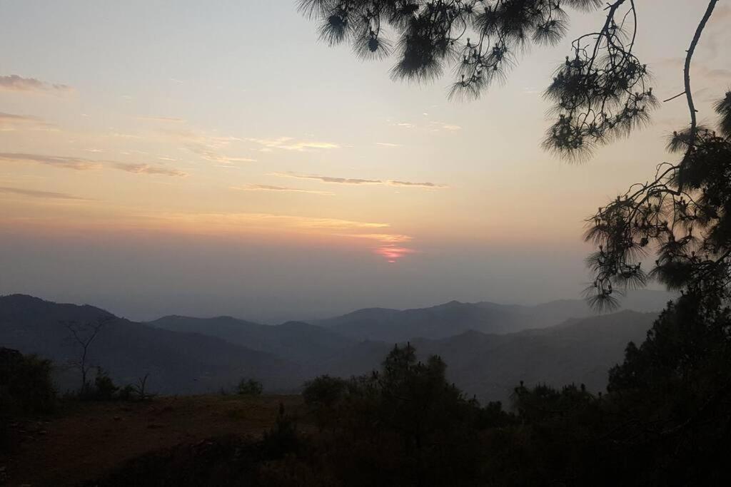 Kasauli Cascade A Cheerfull 4 Bedroom Challet 외부 사진