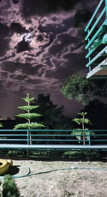 Kasauli Cascade A Cheerfull 4 Bedroom Challet 외부 사진