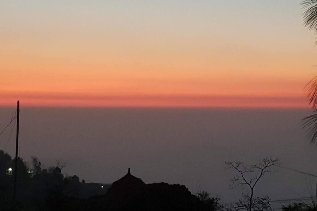 Kasauli Cascade A Cheerfull 4 Bedroom Challet 외부 사진