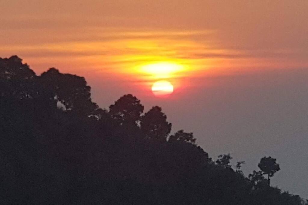 Kasauli Cascade A Cheerfull 4 Bedroom Challet 외부 사진
