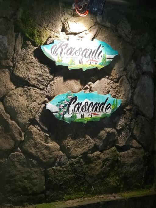 Kasauli Cascade A Cheerfull 4 Bedroom Challet 외부 사진