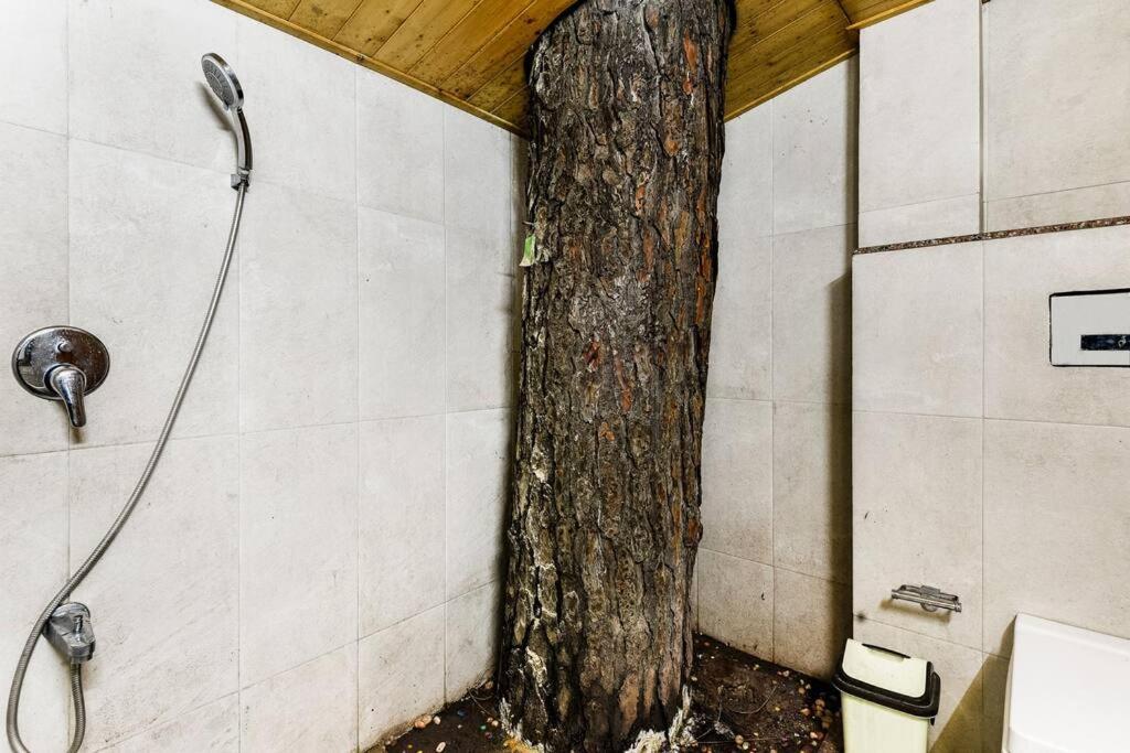 Kasauli Cascade A Cheerfull 4 Bedroom Challet 외부 사진