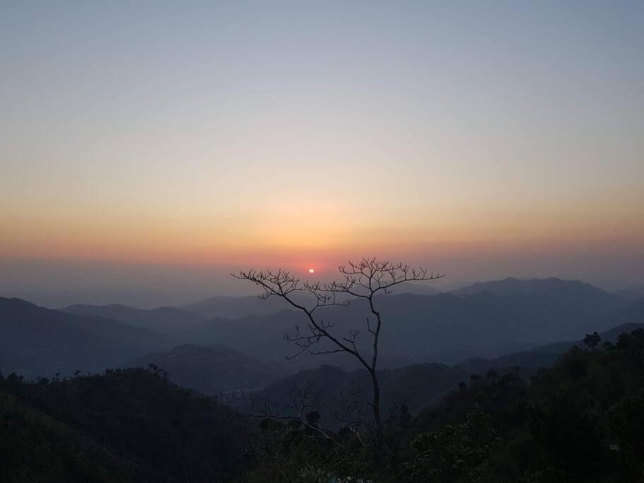 Kasauli Cascade A Cheerfull 4 Bedroom Challet 외부 사진