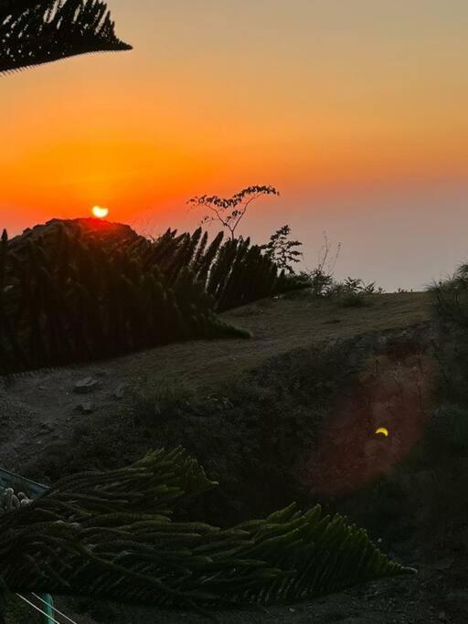 Kasauli Cascade A Cheerfull 4 Bedroom Challet 외부 사진